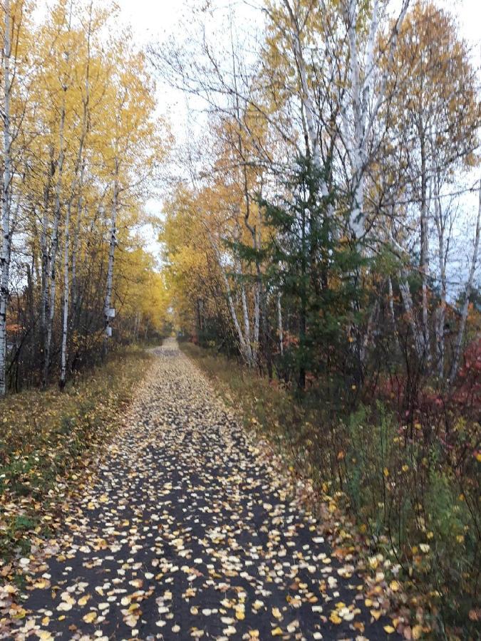 Lodge Four Seasons Algonquin